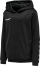 SV Veitshöchheim Authentic Poly Hoody Damen